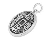 925 Silver Three-Legged Toad Wealth Coin Pendant